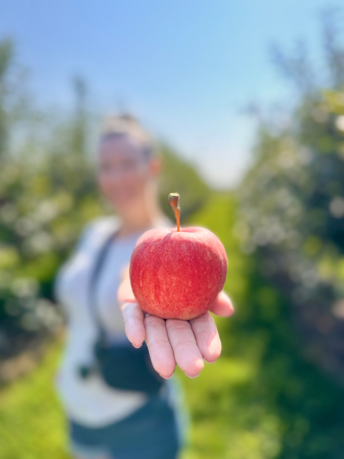 Palmerston Ontario Spotlight: Local Supplier Who Inspire Our Fall Menu